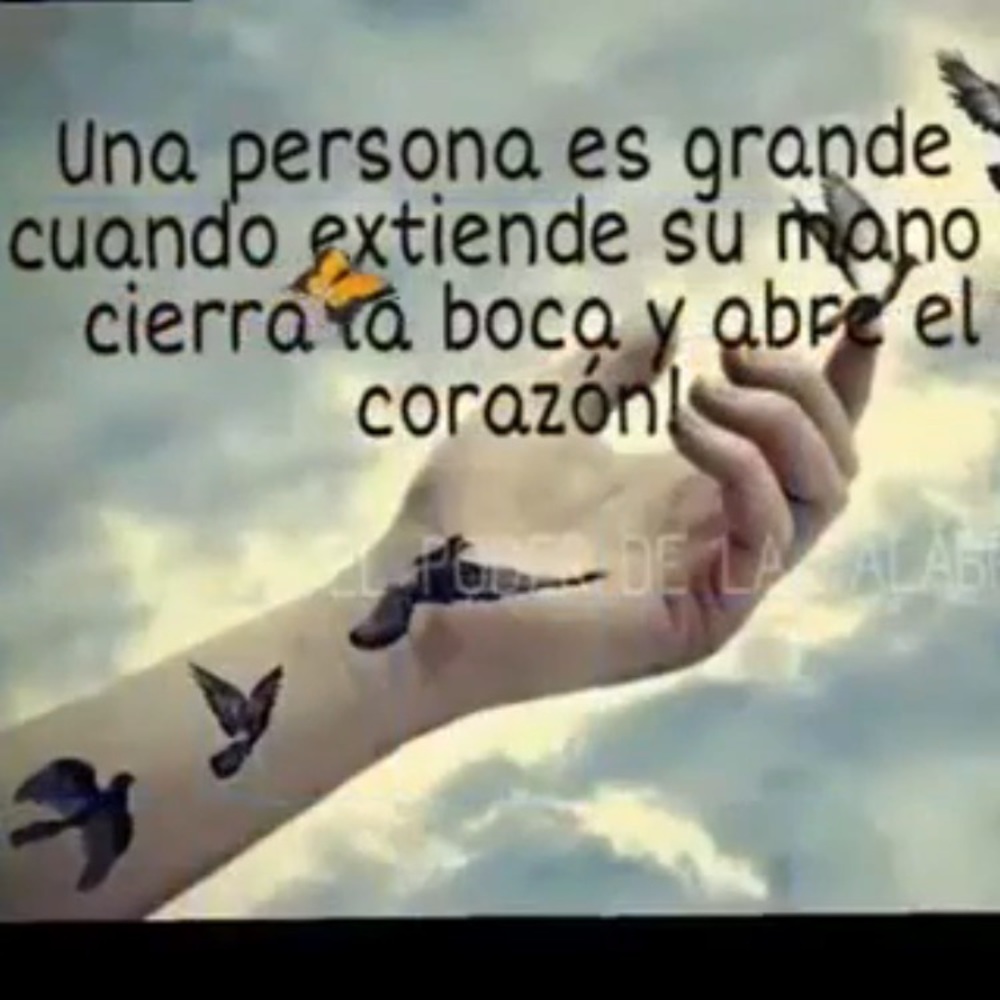 Meet your Posher, Yoselin